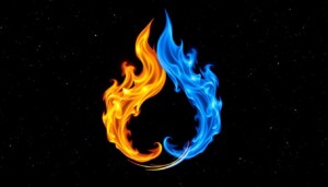 conceito de chamas gêmeas